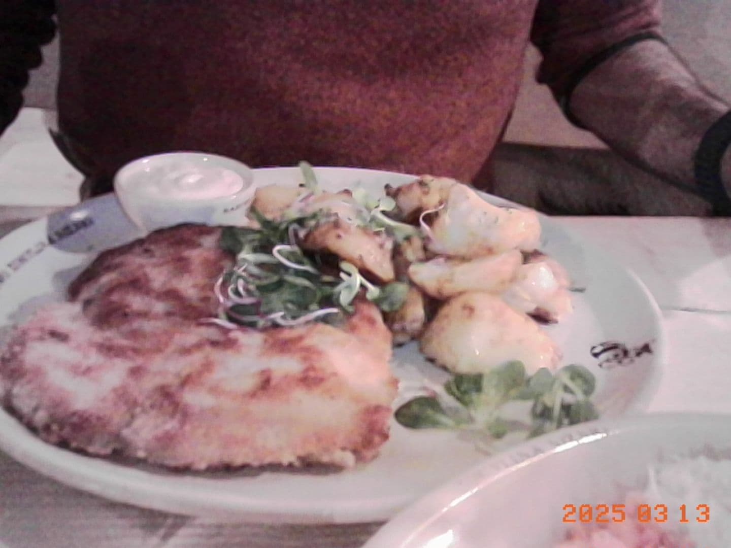 Plate of breaded chicken cutlet with potatoes and salad